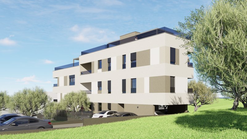 Fine'sa Conceptus projekt